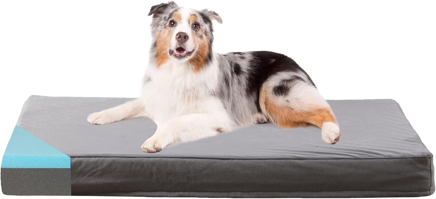 Petseliers Deluxe Orthopedic Memory Foam Dog Bed