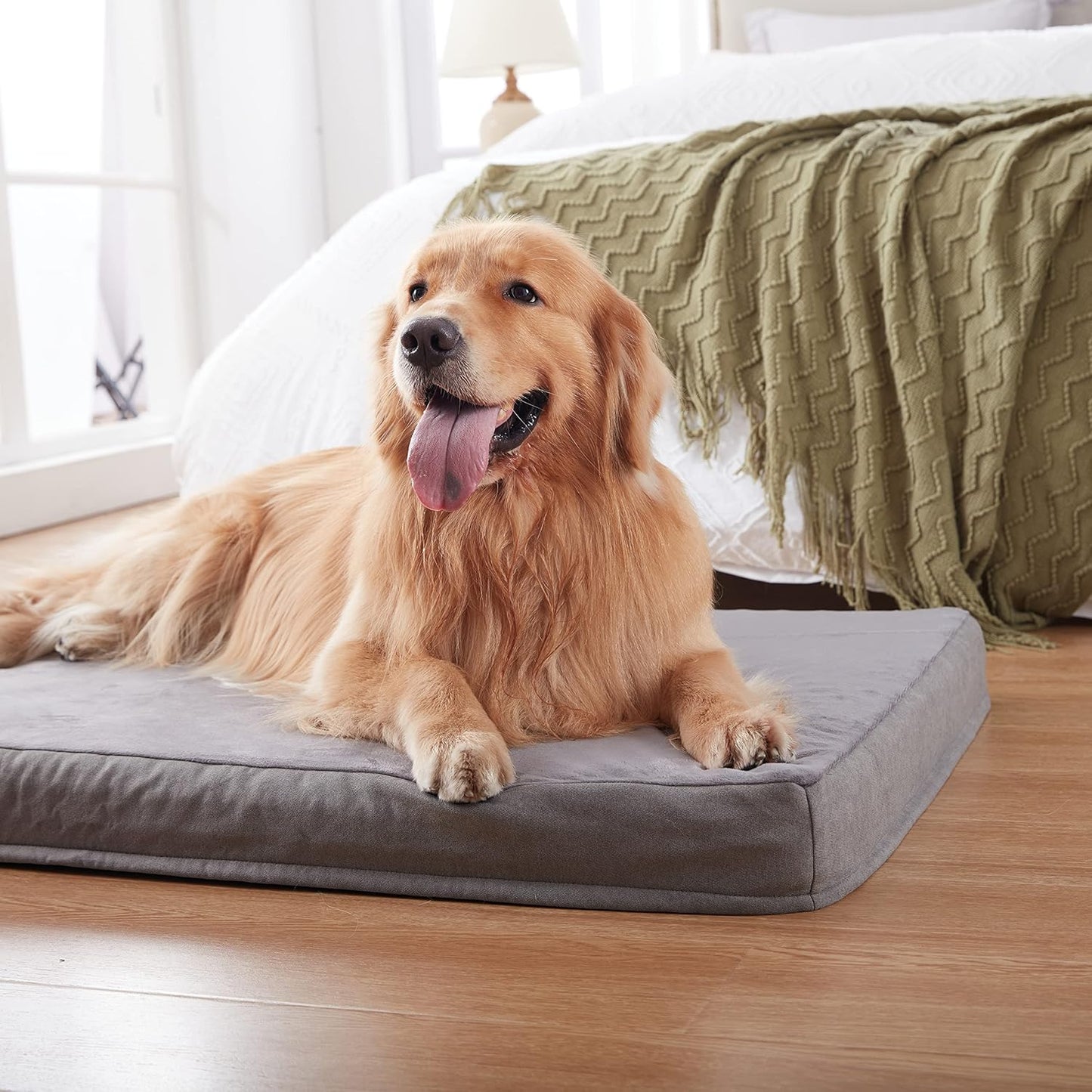 Petseliers Deluxe Orthopedic Memory Foam Dog Bed