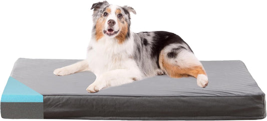 Petseliers Deluxe Orthopedic Memory Foam Dog Bed